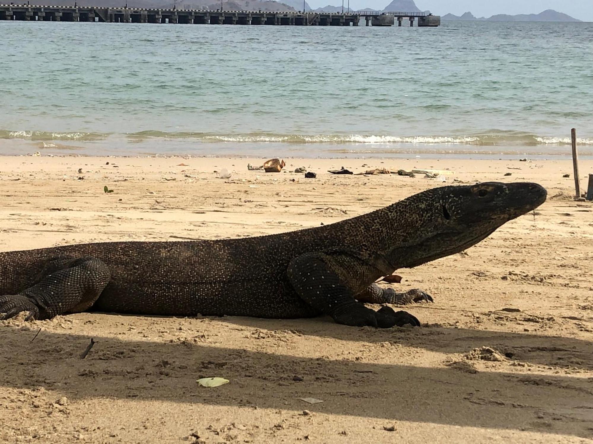 Dua Putri Komodo Homestay Экстерьер фото